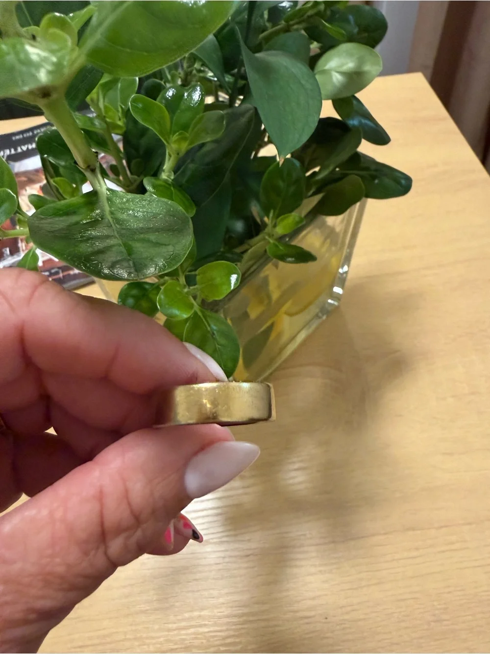 Oura Ring in Gold